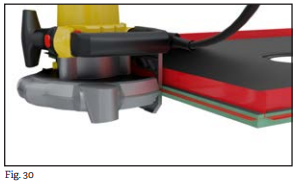fig-30 higo 30